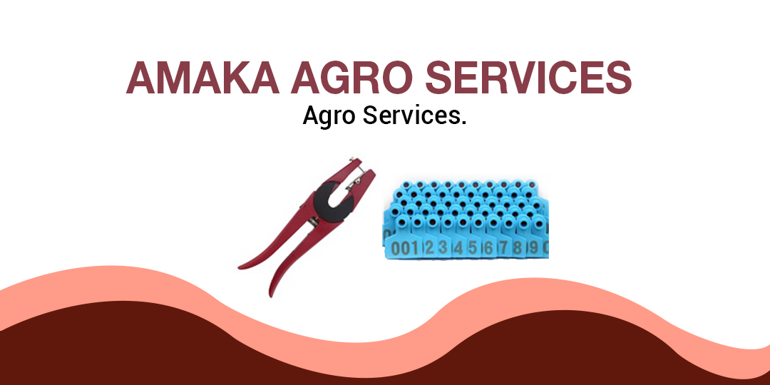 Amaka Agro Services