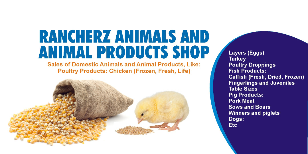 CHIEF-RANCHER Animals and Animal Products