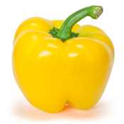 YELLOW PEPPER PREMIUM PER KG