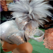 Classy Silver Fascinator With Feathers