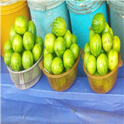 Garden Egg Small Basket