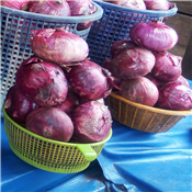 Fresh Onion Plastic Basket Small