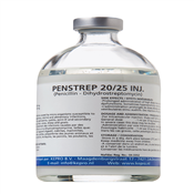 KEPRO PENSTREP 20/25 INJ 100ML