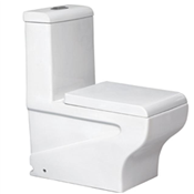 One Piece Ceramic Floor Mounted with Soft Close Seat Cover S Trap Western Toilet