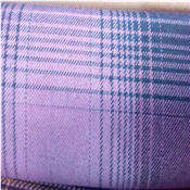 Quality Senator Material