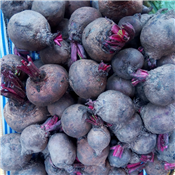 Beetroot Fruit