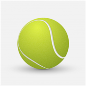 Lawn Tennis Ball