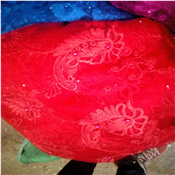 Unique Net Lace Fabric