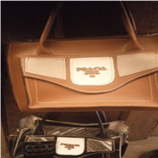 Ladies hand bag