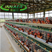 chicken battery cage for poultry