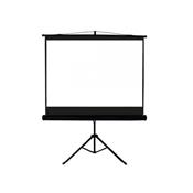 PROJECTOR SCREEN