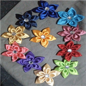 Multiple coloured Rose fancies