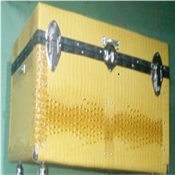Trunk Box