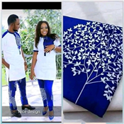 Plain and Pattern Fabric 