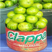 Garden Egg 1/2 Paint