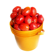 Benue Fresh Tomatoes 1 Paint