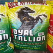 ROYAL STALLION