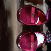Louis vuitton shoe