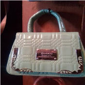 Ladies hand bag