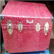 Trunk Box
