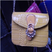 Ladies hand bag