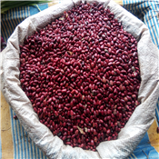 Fresh Red Kidney Beans 1 cup