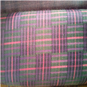 Quality Senator Material