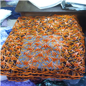 Flowered Sequins Sample Lace - per yard