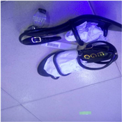 TRENDING WOMEN'S HEEL SANDALS