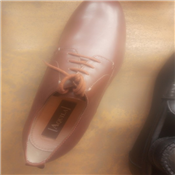 Aquila cover brown shoe