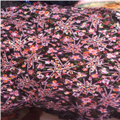 Flowered Sequins Sample Lace - Per yard