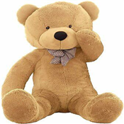 COLOUR MIX TEDDY BEAR LONG LEGS