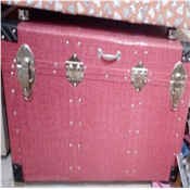 Trunk Box