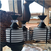 BLACK DROPPING FANCY LIGHT