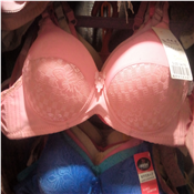 Strappy Push Up Bra - Dozen