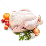 TURKEY PER KG