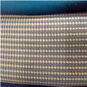 Quality Senator Material