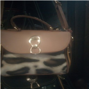 Ladies hand bag