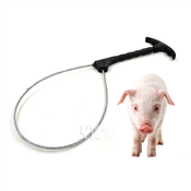 Stainless Steel Wire Catch Pigs Lasso, Quality Steel Wire Tying Tools, Animal Husbandry, Pig Farming Pig Lasso Equipment