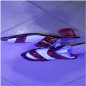 TRENDING WOMEN'S HEEL SLIPPERS