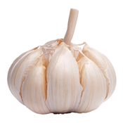 GARLIC FOREIGN PER KG