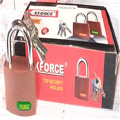 X Force Key Ash Key 50m 4,400
