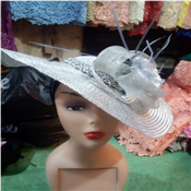 Unique Sliver Fascinator