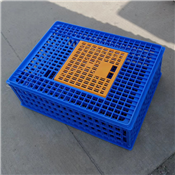Factory poultry transport equipment, chicken transport crate, duck/turkey transport cage