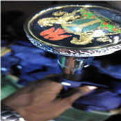 Traditional Walking Stick