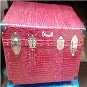 Trunk Box