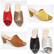 Ladies Designers shoe