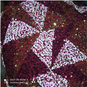 VELVET SEQUINS FABRIC