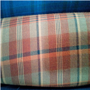 Quality Senator Material