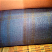 Quality Senator Material